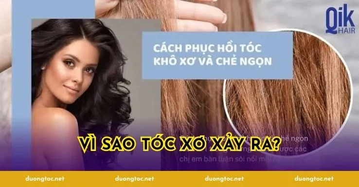 Vì sao tóc xơ xảy ra?