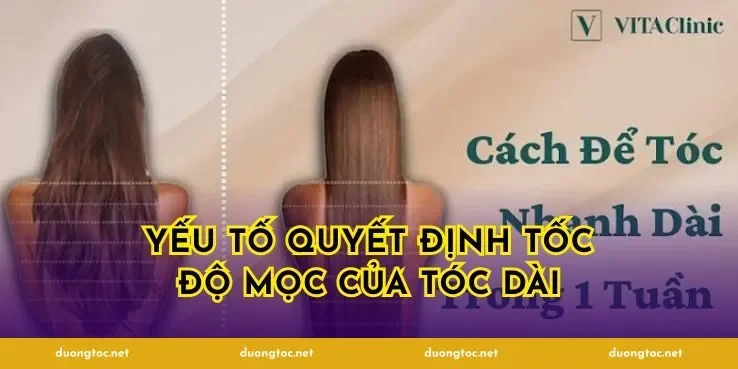 Yếu tố quyết định tốc độ mọc của tóc dài